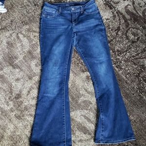 Maurices Dark Wash BootCut Jean